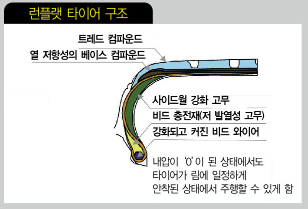 ë°íë« íì´ì´ì ëí ì´ë¯¸ì§ ê²ìê²°ê³¼